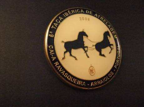 CAI-A da Ravasqueira – VI Iberische menwedstrijden Portugal.( paarden International Equestrian Federation (FEI)wedstrijden